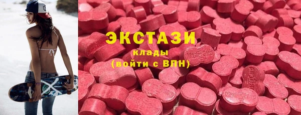 шишки Верея