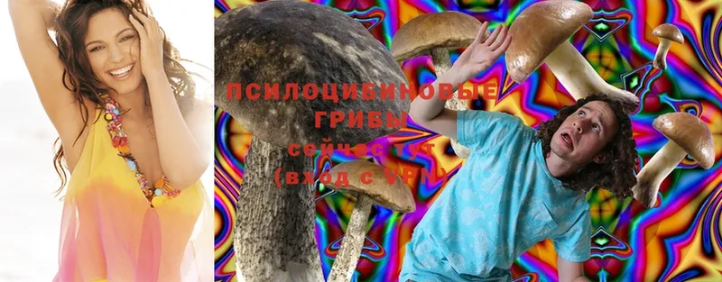 закладки  Аргун  Псилоцибиновые грибы Magic Shrooms 